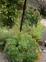 東昌寺(神奈川県)