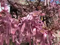 桜神宮のその他建物