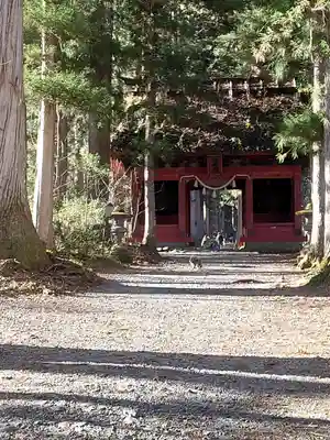 戸隠神社奥社の山門・神門