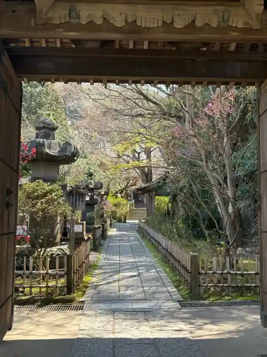 安國論寺(安国論寺)の{uncategorized: "未分類", other: "その他", undefined: "問題あり", building: "その他建物", grave: "お墓", sacred_gate: "鳥居", guardian: "狛犬", statue: "像", buddha: "仏像", history: "歴史", nature: "自然", garden: "庭園", animal: "動物", pagoda: "塔", temizu: "手水舎", mountain_gate: "山門・神門", sanctuary: "本殿・本堂", subordinate: "末社・摂社", art: "芸術", scenery: "景色", jizo: "地蔵", ema: "絵馬", goshuin: "御朱印", omikuji: "おみくじ", items: "授与品その他", amulet: "お守り", goshuincho: "御朱印帳", eats: "食事", festival: "お祭り", votive_dance: "神楽", shichigosan: "七五三参", wedding: "結婚式", experience: "体験その他", initially: "初詣", around: "周辺", anti_infection: "感染症対策"}