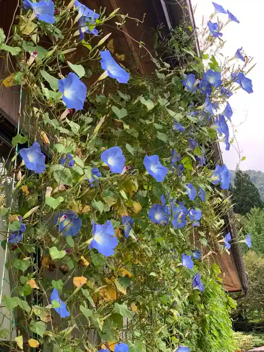 松原山 明善寺の自然