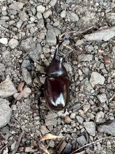 蚊里田八幡宮(長野県)