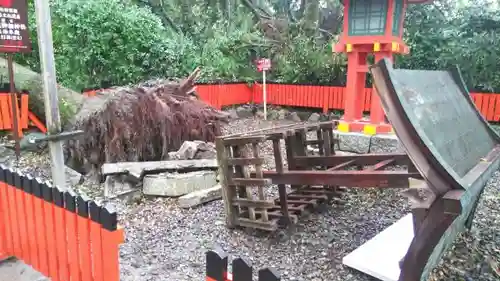 賀茂御祖神社（下鴨神社）の自然