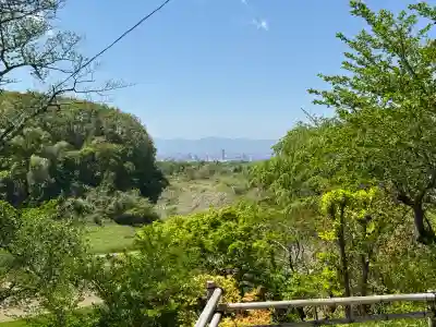 高屋敷稲荷神社の{uncategorized: "未分類", other: "その他", undefined: "問題あり", building: "その他建物", grave: "お墓", sacred_gate: "鳥居", guardian: "狛犬", statue: "像", buddha: "仏像", history: "歴史", nature: "自然", garden: "庭園", animal: "動物", pagoda: "塔", temizu: "手水舎", mountain_gate: "山門・神門", sanctuary: "本殿・本堂", subordinate: "末社・摂社", art: "芸術", scenery: "景色", jizo: "地蔵", ema: "絵馬", goshuin: "御朱印", omikuji: "おみくじ", items: "授与品その他", amulet: "お守り", goshuincho: "御朱印帳", eats: "食事", festival: "お祭り", votive_dance: "神楽", shichigosan: "七五三参", wedding: "結婚式", experience: "体験その他", initially: "初詣", around: "周辺", anti_infection: "感染症対策"}