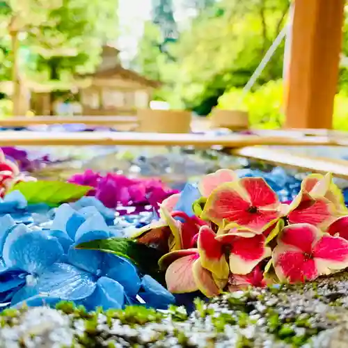 土津神社｜こどもと出世の神さまの手水