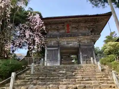 妙成寺の{uncategorized: "未分類", other: "その他", undefined: "問題あり", building: "その他建物", grave: "お墓", sacred_gate: "鳥居", guardian: "狛犬", statue: "像", buddha: "仏像", history: "歴史", nature: "自然", garden: "庭園", animal: "動物", pagoda: "塔", temizu: "手水舎", mountain_gate: "山門・神門", sanctuary: "本殿・本堂", subordinate: "末社・摂社", art: "芸術", scenery: "景色", jizo: "地蔵", ema: "絵馬", goshuin: "御朱印", omikuji: "おみくじ", items: "授与品その他", amulet: "お守り", goshuincho: "御朱印帳", eats: "食事", festival: "お祭り", votive_dance: "神楽", shichigosan: "七五三参", wedding: "結婚式", experience: "体験その他", initially: "初詣", around: "周辺", anti_infection: "感染症対策"}