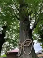 八坂神社(神奈川県)