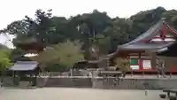 金剛寺のその他建物
