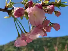 伊香具神社の自然