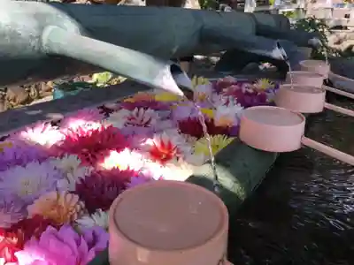 岡寺（龍蓋寺）の手水舎