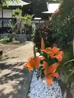 龍泰院のその他建物