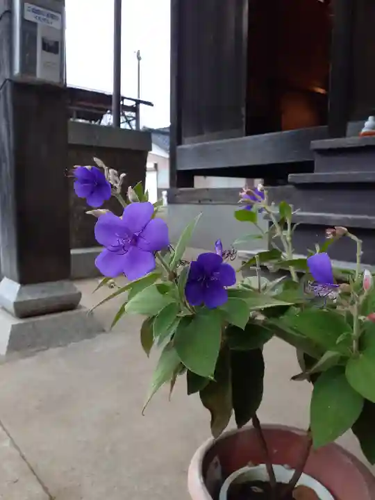 伏木香取神社の自然