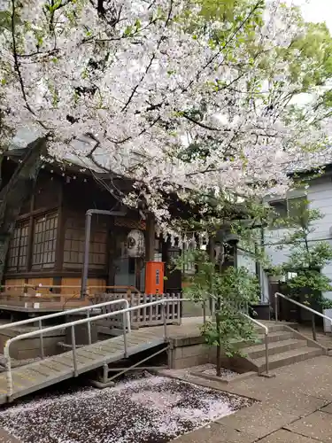 神明氷川神社の本殿・本堂