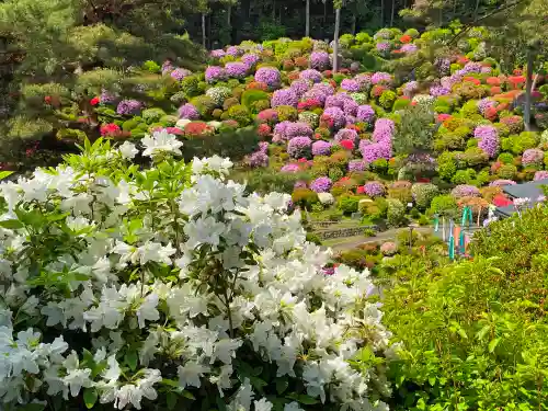塩船観音寺の自然