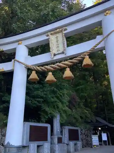 宝登山神社の鳥居