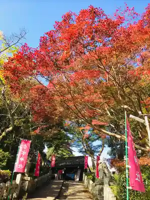 𠮷水神社（吉水神社）(奈良県)