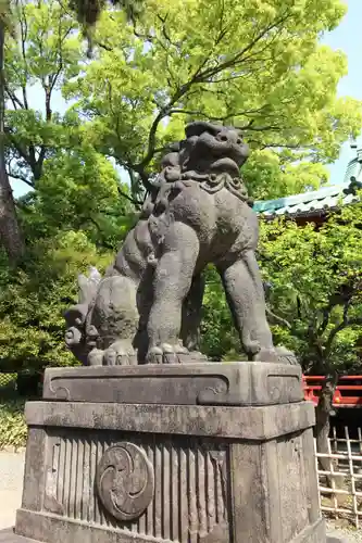 根津神社の狛犬