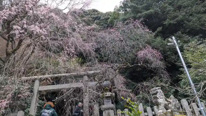 大豊神社(京都府)