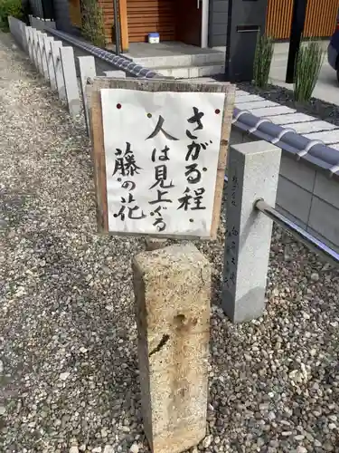 先聖寺の景色