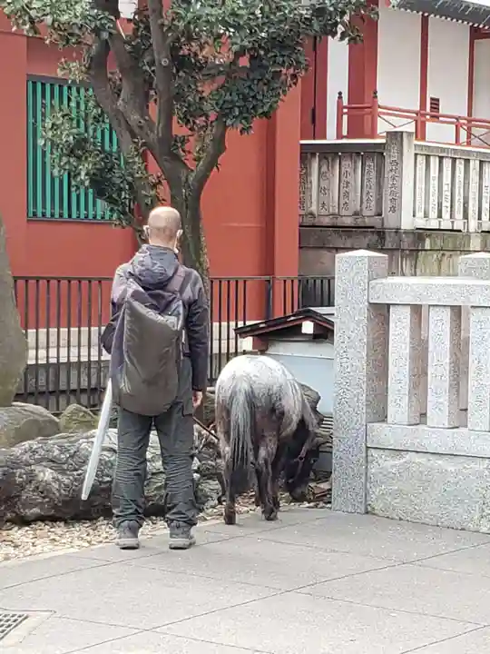 神田神社(神田明神)の動物