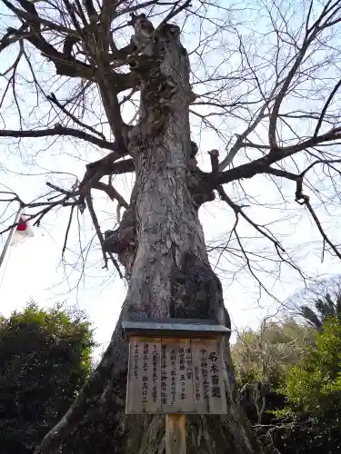 中山神社(岡山県)