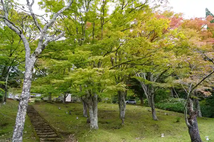 土津神社|こどもと出世の神さまの自然