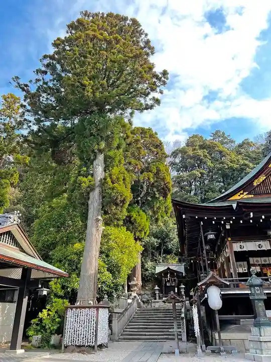 日牟禮八幡宮(滋賀県)