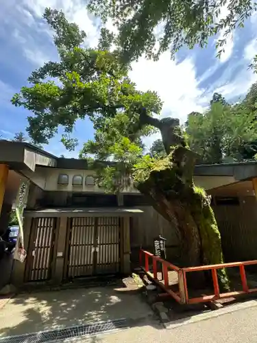 箱根神社(神奈川県)