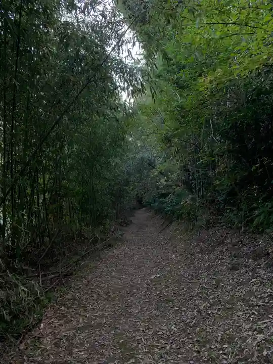 丸山神社の周辺