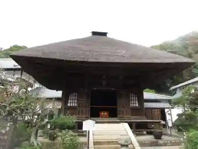 佛日庵の本殿・本堂