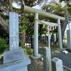 泉神社の鳥居