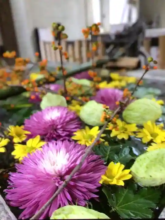 高円寺氷川神社(東京都)