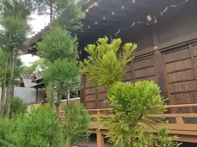 城南神社の本殿・本堂