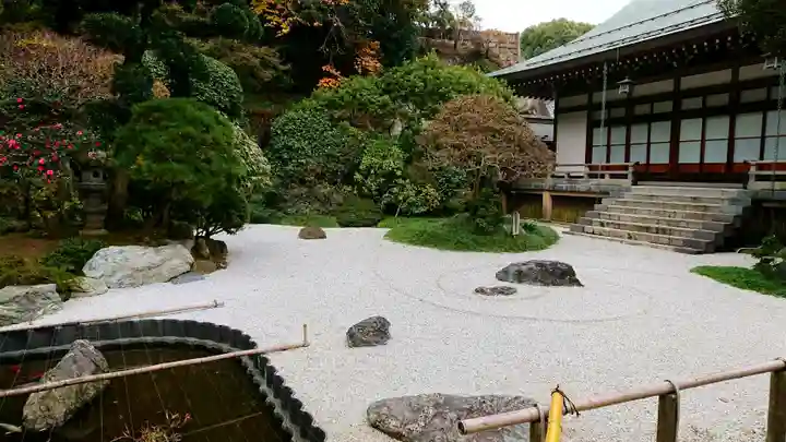 報国寺の庭園