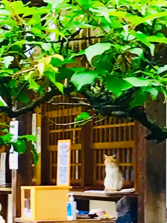 大生郷天満宮のその他建物