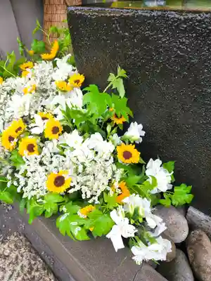 上尾御嶽神社の手水舎