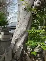 鎮宅霊符社の{uncategorized: "未分類", other: "その他", undefined: "問題あり", building: "その他建物", grave: "お墓", sacred_gate: "鳥居", guardian: "狛犬", statue: "像", buddha: "仏像", history: "歴史", nature: "自然", garden: "庭園", animal: "動物", pagoda: "塔", temizu: "手水舎", mountain_gate: "山門・神門", sanctuary: "本殿・本堂", subordinate: "末社・摂社", art: "芸術", scenery: "景色", jizo: "地蔵", ema: "絵馬", goshuin: "御朱印", omikuji: "おみくじ", items: "授与品その他", amulet: "お守り", goshuincho: "御朱印帳", eats: "食事", festival: "お祭り", votive_dance: "神楽", shichigosan: "七五三参", wedding: "結婚式", experience: "体験その他", initially: "初詣", around: "周辺", anti_infection: "感染症対策"}