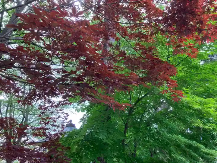 大安寺(岩手県)