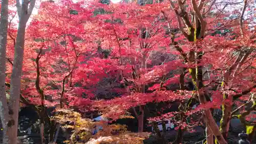 養父神社(兵庫県)