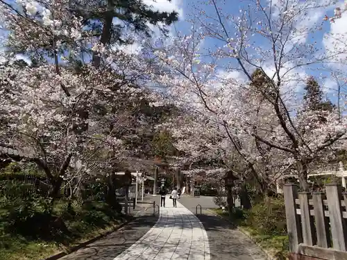 高麗神社の周辺