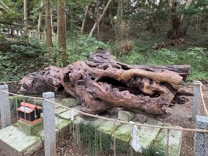 泉神社(茨城県)