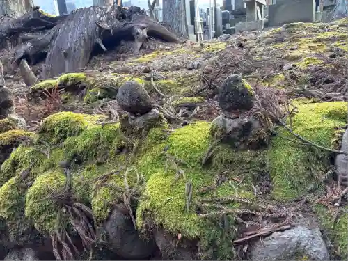 清瀧寺(栃木県)