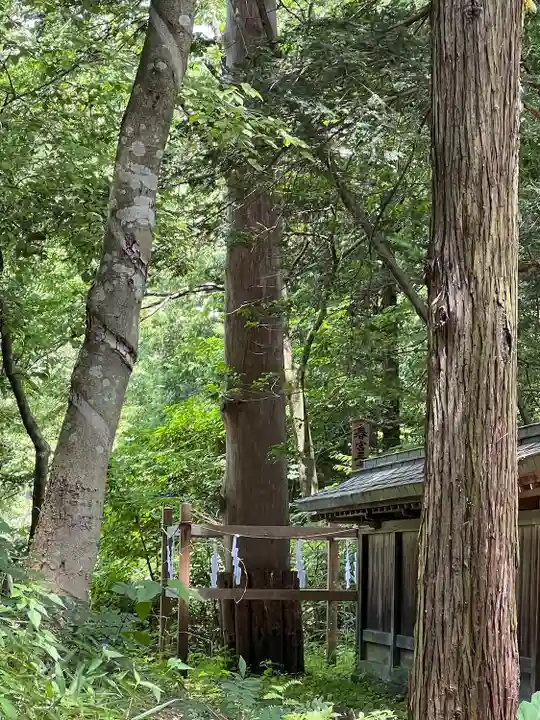 諏訪大社下社春宮(長野県)