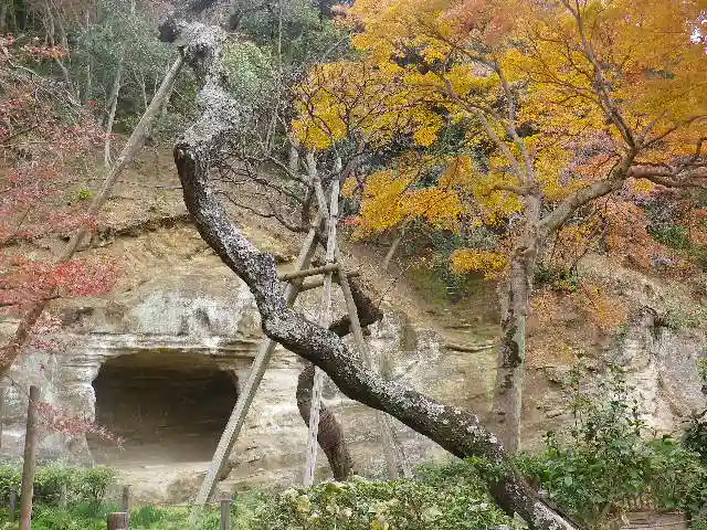 瑞泉寺のその他建物