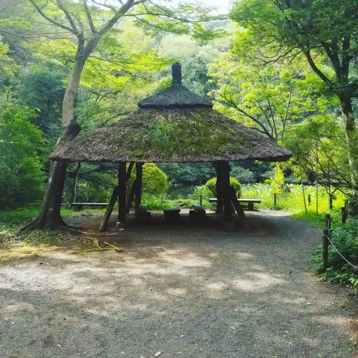 明治神宮の庭園