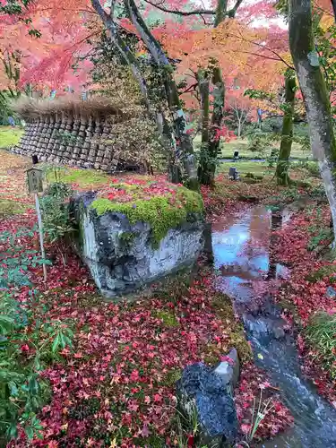 宝厳院(京都府)