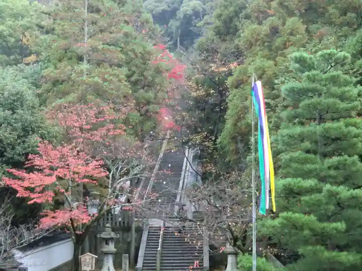 知恩院(京都府)