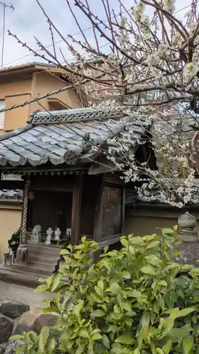 香雪院(京都府)