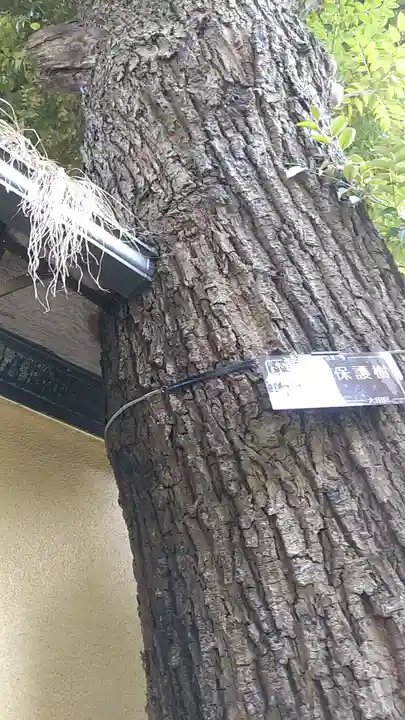 大森山王日枝神社(東京都)