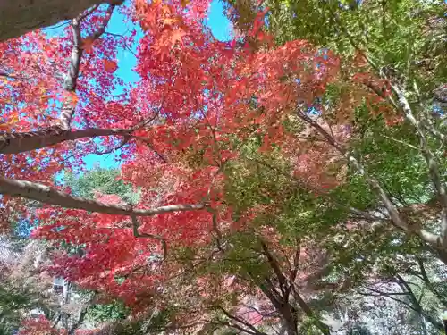 慈眼寺(大阪府)